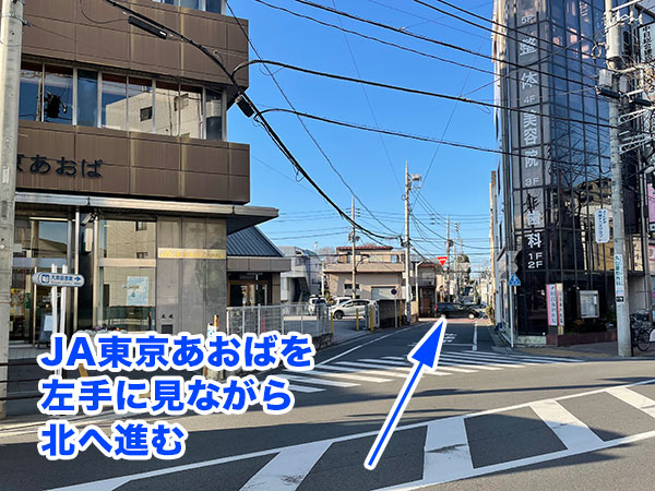 JA東京あおばを左手に見ながら北へ進む